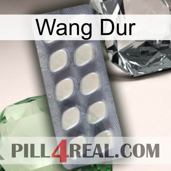 Hard Wang 08